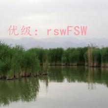 ζ