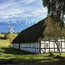 Χ
